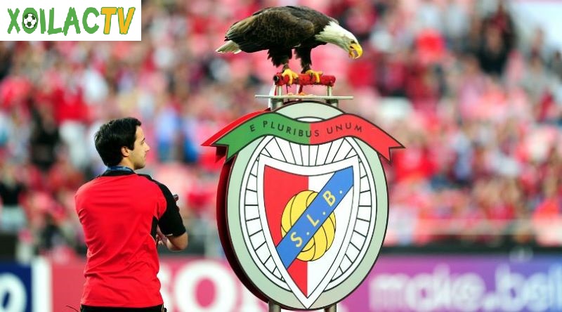 Đại bàng là biểu tượng của Benfica